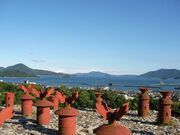 ���P�R�Õ��o�y�i�̎ʐ^3