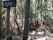 ��R��Ղ̎ʐ^2