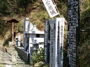 ��R��Ղ̎ʐ^3