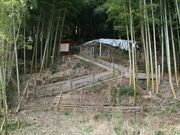 �����Õ��̎ʐ^1