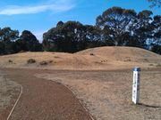 ���ڌÕ��Q�̎ʐ^2