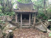 ��R�L�˂̎ʐ^2