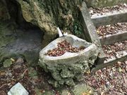 ��R�L�˂̎ʐ^3