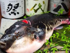 銀しゃりDining 火土木 かどもくの写真1