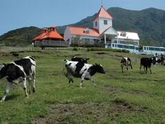 �V���q�ꌤ�C�ق̎ʐ^1