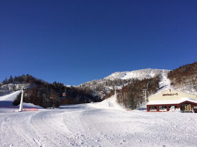 �D�y���ۃX�L�[��