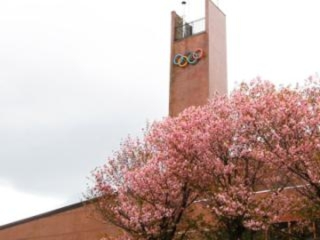 �����ۑ̈��