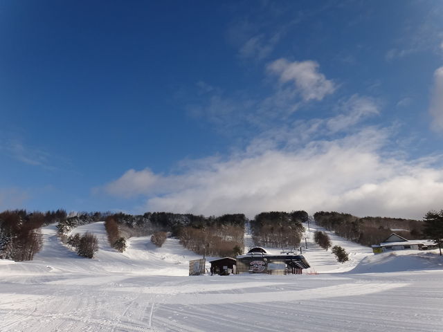 ���K�X�L�[��_���K�X�L�[��