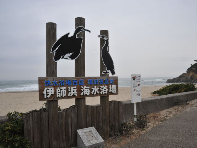 �Ɏt�l�C������