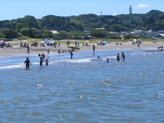 ��ђ����C������̗l�q_��ђ����C������