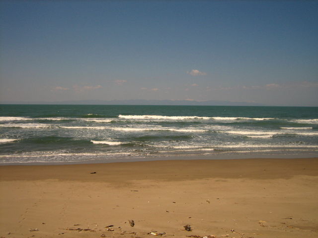 �p�c�l�C������