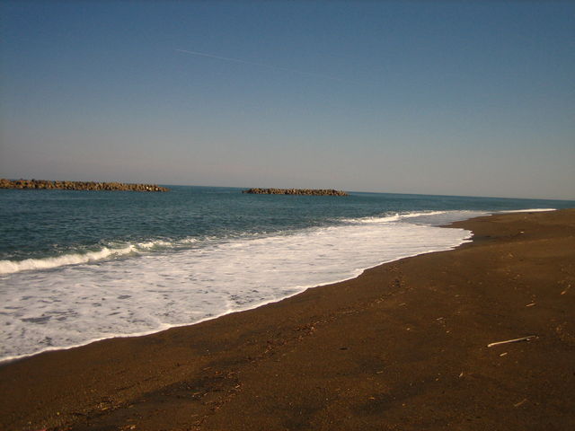 �L�̕l�C������