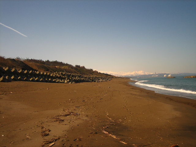 �L�̕l�C������