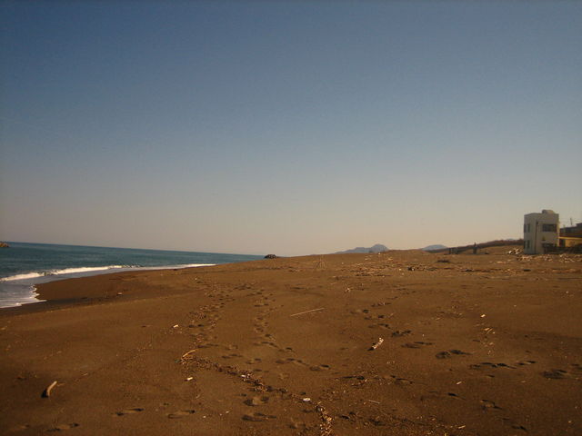 �L�̕l�C������