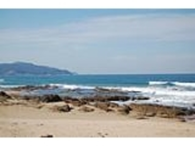 ���Εl�C������̎ʐ^1