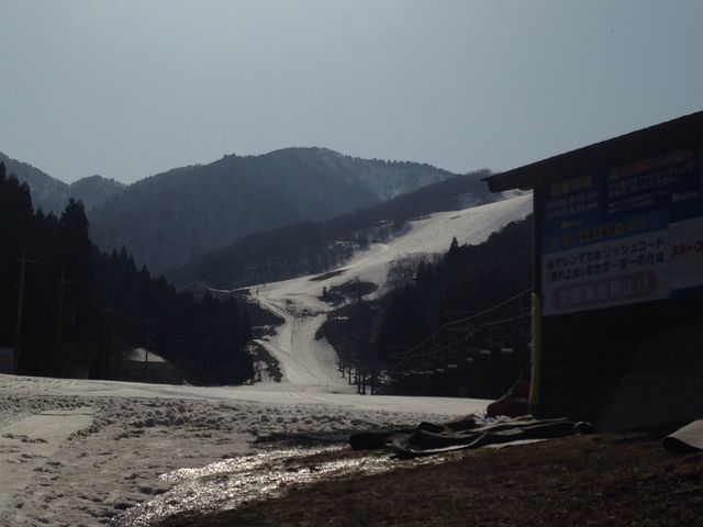 ����X�L�[��