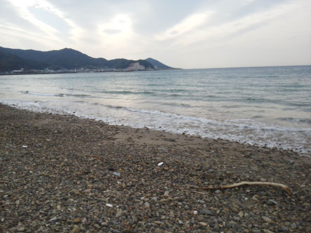 �Y���C������