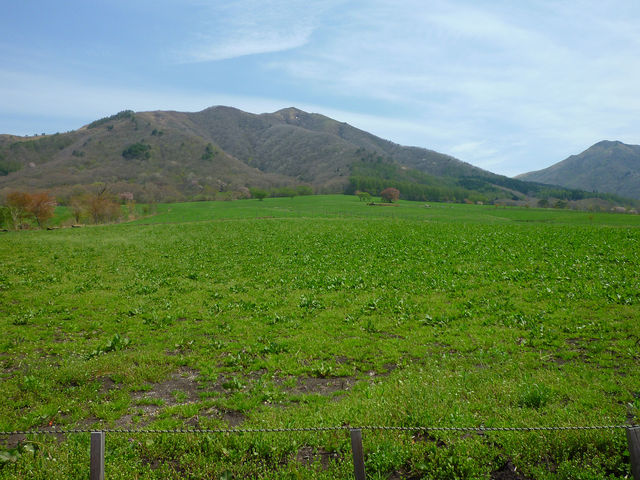 �Ђ邺��L�b�Y�X�m�[�p�[�N