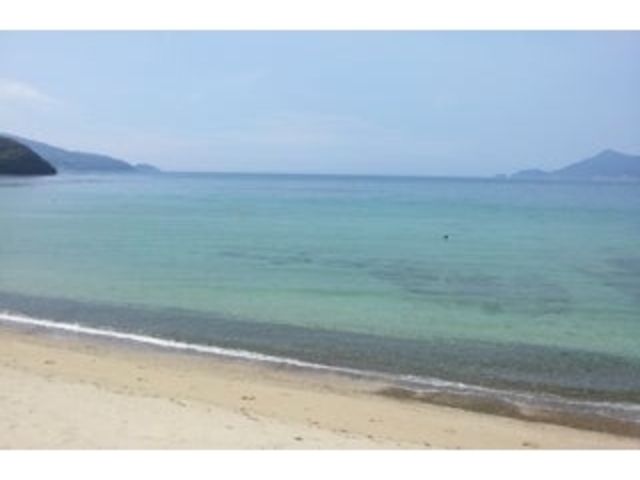 ���̕l�C�݂̎ʐ^1