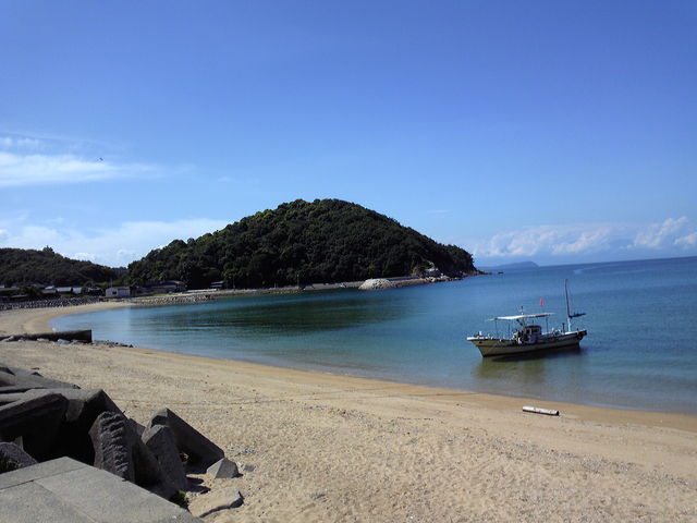 �m�V�l�C������L�����v��