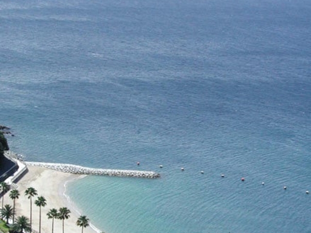 �呁�ÊC������