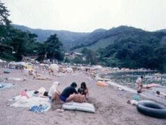 �u�ϊC������̎ʐ^1