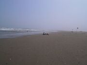 ��c�C������̎ʐ^1