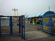 ���R�������A���p�[�N�E�A�C�X�A���[�i�̎ʐ^2