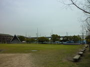 ���R�������A���p�[�N�E�A�C�X�A���[�i�̎ʐ^3