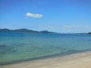 ���̕l�C�݂̎ʐ^4