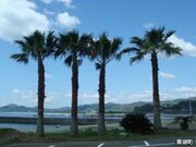 ���ÊC������̎ʐ^1