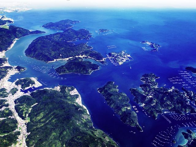 ������������D