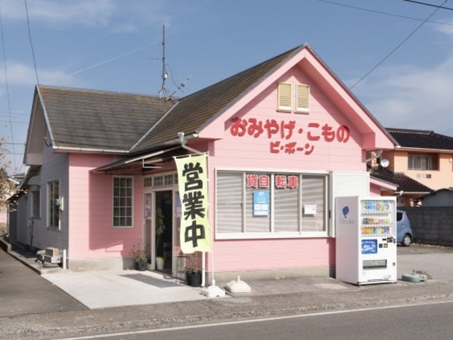 �y�Y�X�r�E�{�[���̎ʐ^1