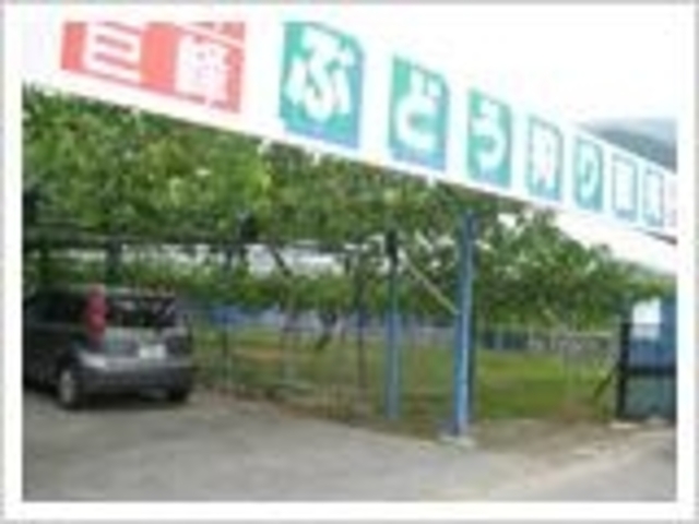 �哌�ό��Ԃǂ����̎ʐ^1