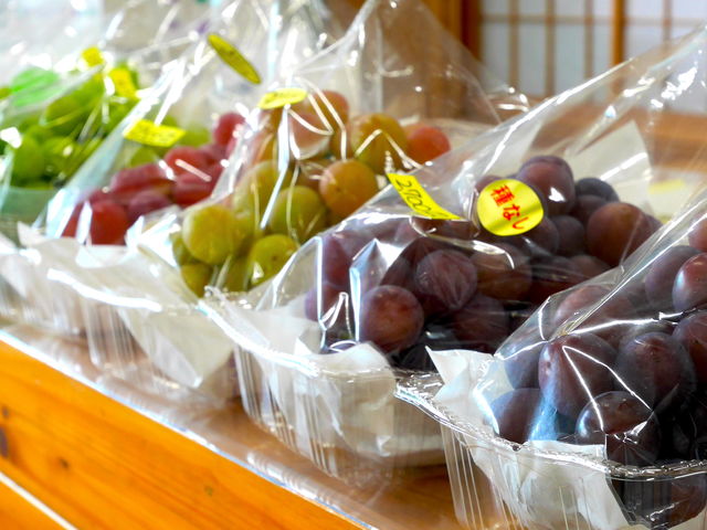 ���R�Ԃǂ���