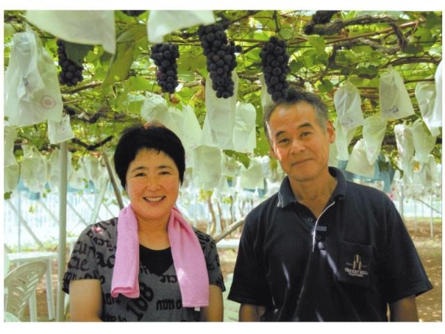 ���R�Ԃǂ���