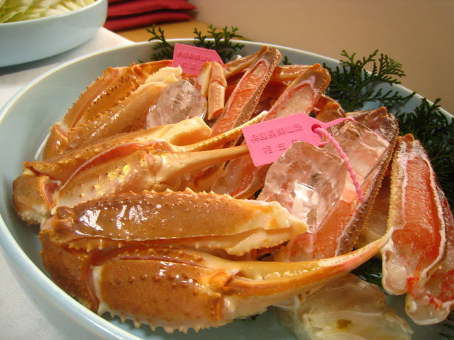 ���Z����