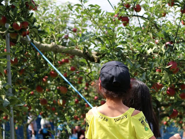 ��񂲎��n��_�ԗ������ό���񂲁A�u���[�x���[��