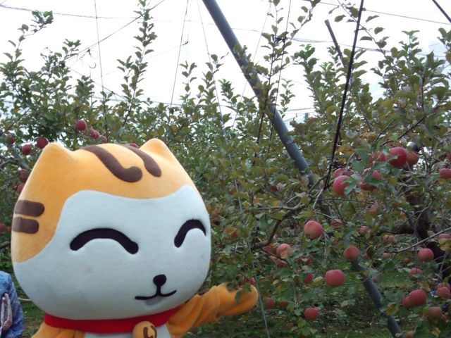 ��񂲂Ɓ@���[�ɂ��_�ԗ������ό���񂲁A�u���[�x���[��