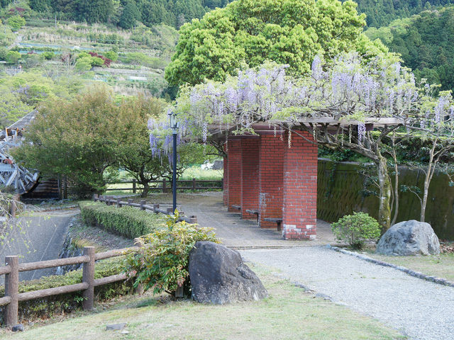 �ӂꂠ�������̓��I�i4�����{�j_�_�R����z�e���l�G�̗��������̓�