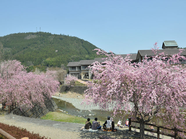 �ӂꂠ�������̐_�R��������i3�����`4����{�j_�_�R����z�e���l�G�̗��������̓�