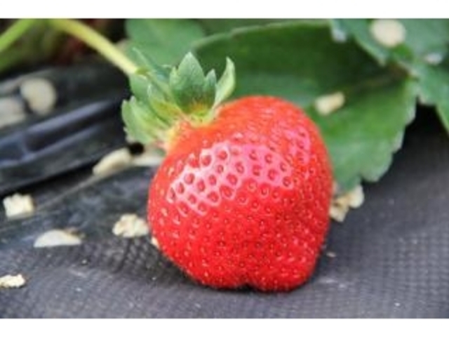 ������_���̉w�@�L�삭�����̑�