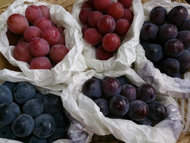 �s�I�[�l�A�V���C���}�X�J�b�g�A�u���b�N�r�[�g�A�����A����A���|�N�C�[���A�l�I�}�X�J�b�g�A8�����{�`9�����{_���i�_��