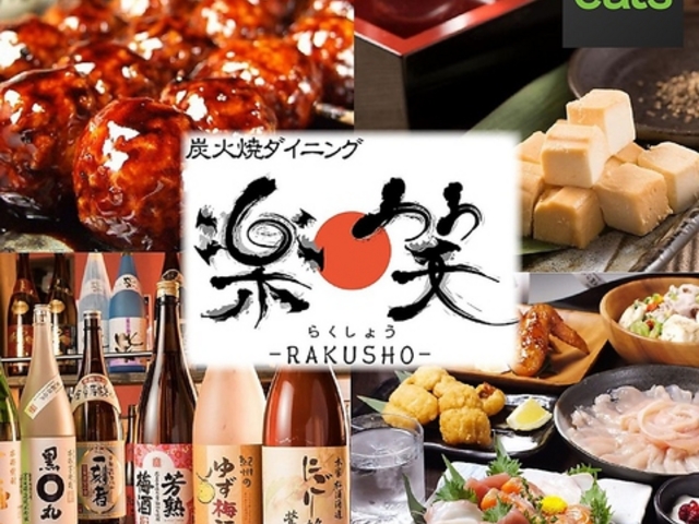 YΏă_CjO y RAKUSHO kYawX̎ʐ^1