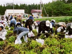 �����x��̌��_���̎ʐ^1