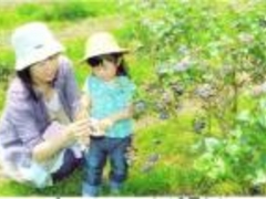 u[x[݂Ƃ_mnn̎ʐ^1