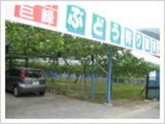 �哌�ό��Ԃǂ����̎ʐ^1