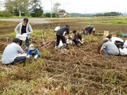 �����x��̌��_���̎ʐ^2