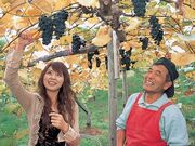 ���g�ό��Ԃǂ����̎ʐ^2