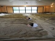 �Α򉷐�@��������̎ʐ^1